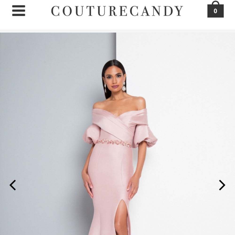 Gorgeous Terani Mother of the Bride/Prom Dress/Gown/Wedding